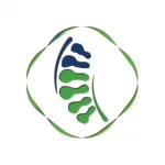მომხმარებლის ლოგო